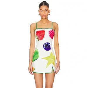 Fruit Basket Dress by Tyler McGillivary // new with tags